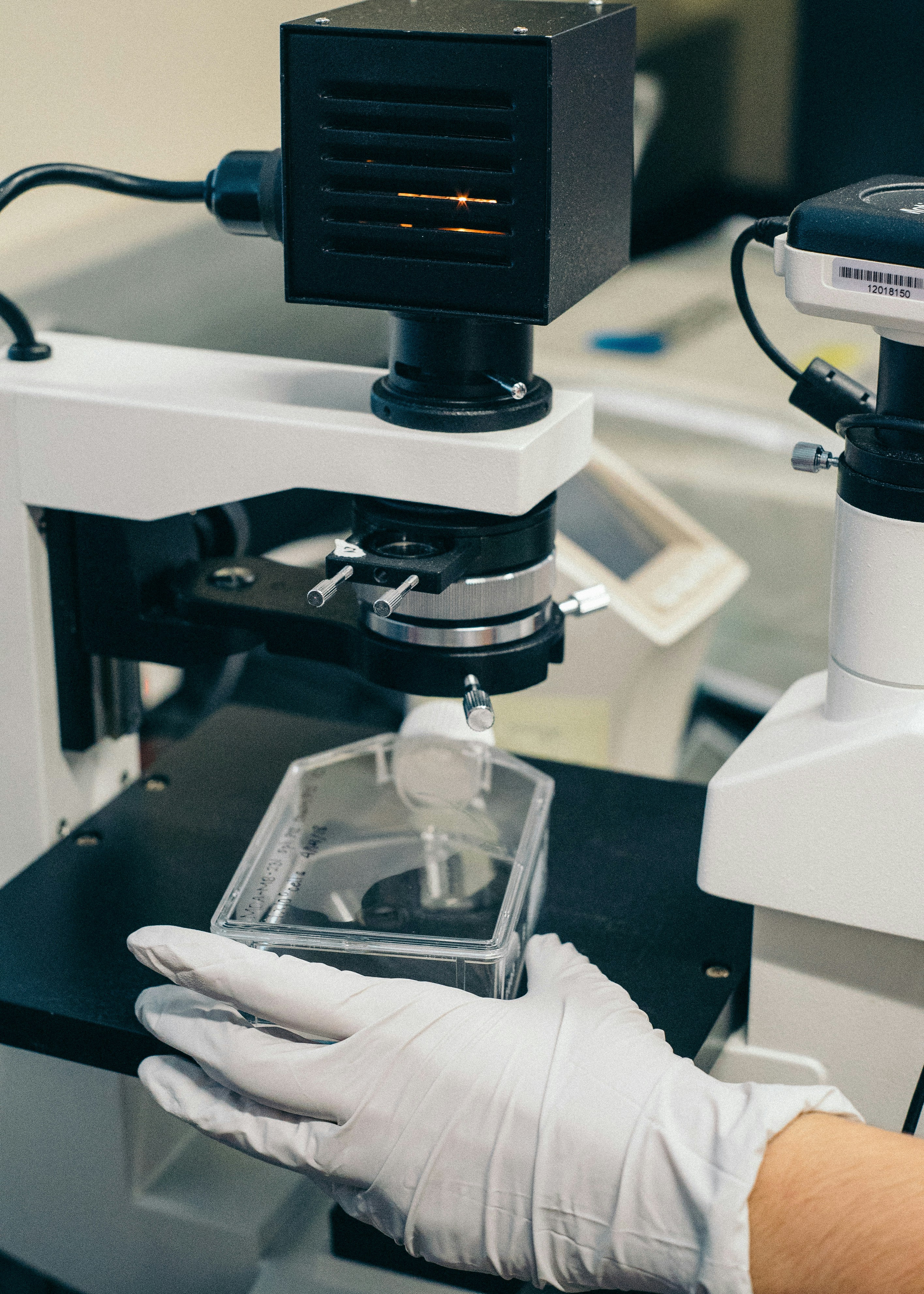 Scientist working with lab equipment